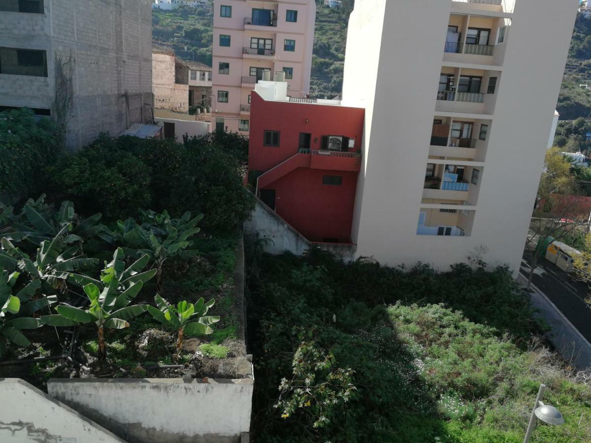 Apartamento Centro De Icod 5 Min. Drago Icod De Los Vinos Dış mekan fotoğraf